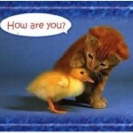 Animal Communication